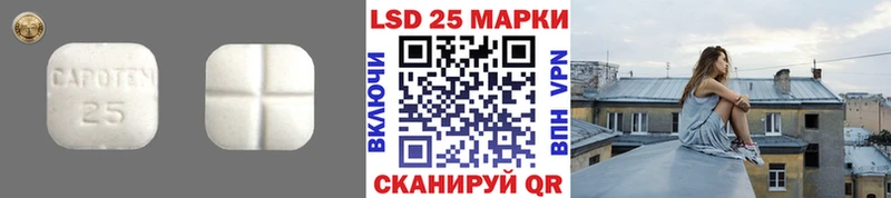 маркетплейс Telegram  сколько стоит  Сасово  Лсд 25 экстази кислота 