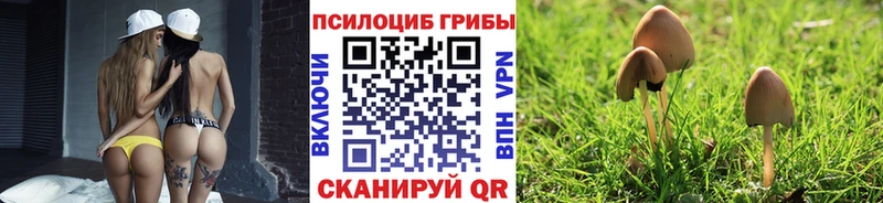 маркетплейс формула дарнет шоп mega рабочий сайт Сасово Псилоцибиновые грибы Cubensis